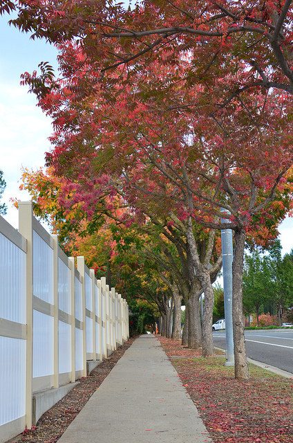autumn3